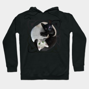 Yin Yang Cats Hoodie